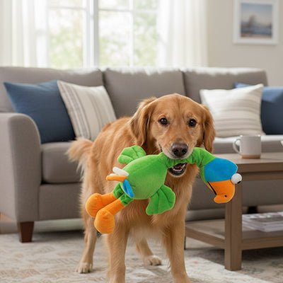 Peluche pour chien HyperDurable perroquet brun mâchoires salon chien