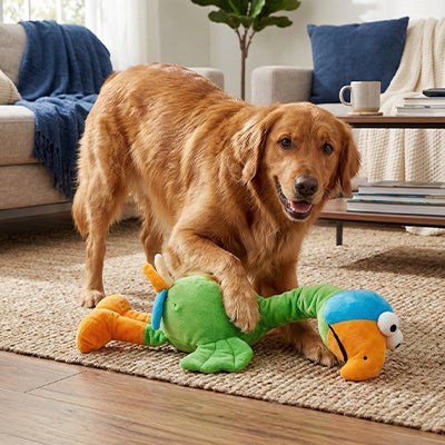 Peluche pour chien HyperDurable perroquet salon brun mâchoires chien