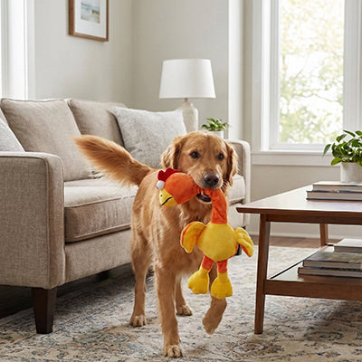 Peluche pour chien SuperDurable poulet debout salon brun chien