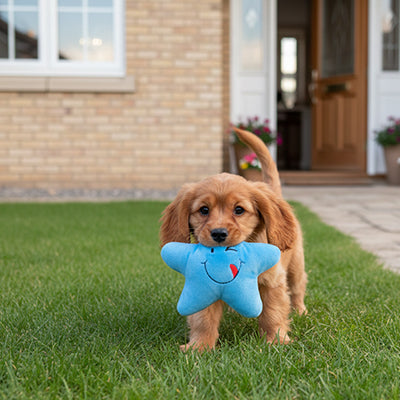 Peluche pour chien SupremeDurability bleu brun chien