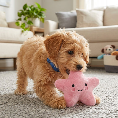 Peluche pour chien SupremeDurability rose brun chien