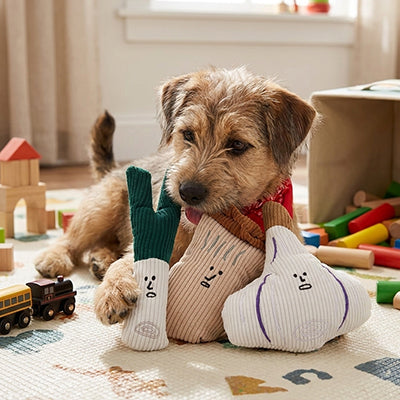 Peluche pour chien UltraResistante légumes brun champignon chien