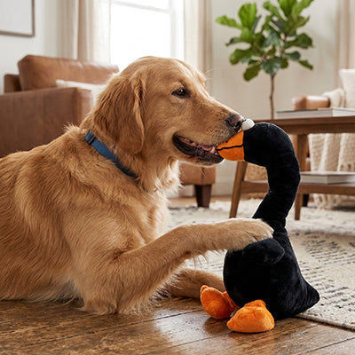 Peluche pour chien UltraSoft canard brun cuisine chien