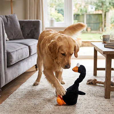 Peluche pour chien UltraSoft canard salon brun chien