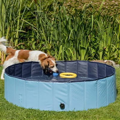 Piscine pour chien CaninePool veut attraper la balle chien