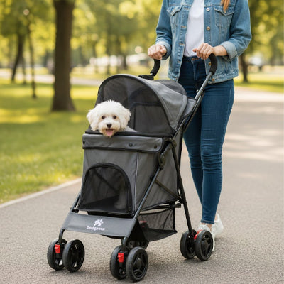 Poussette chien ComfortSafety gris femme parc blanc chien