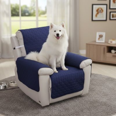 Protection canapé StainResistant bleu blanc assis chien