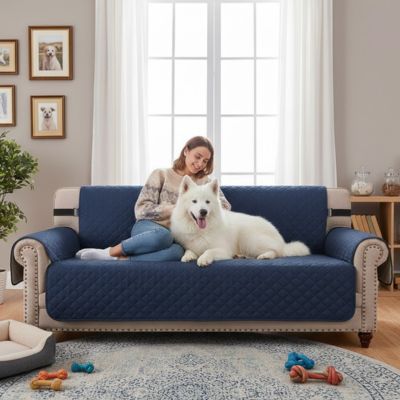 Protection canapé WaterproofAnd bleu caresse blanc chien