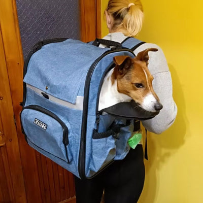 Sac à dos chien BacYouForDogs bleu, sortir brun chien