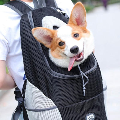 Sac à dos chien BackPackDog chien brun chien