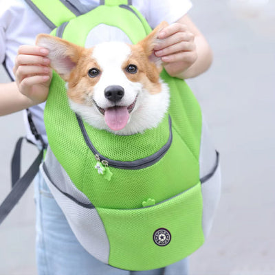 Sac à dos chien BackPackDog vert blanc chien
