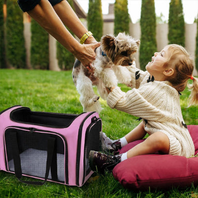 Sac de transport pour chien BackPack gazon rose chien