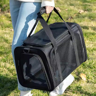 Sac de transport pour chien BackPack noir debout chien