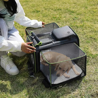 Sac de transport pour chien CarDog brun bleu chien