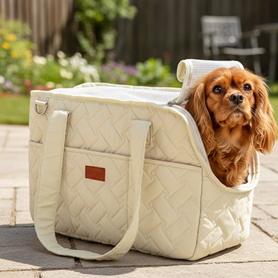 Sac de transport pour chien ComfortSafety beige brun chien