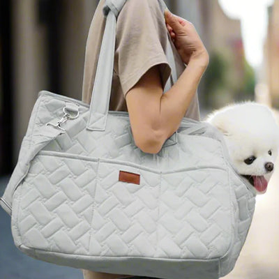 Sac de transport pour chien ComfortSafety gris blanc chien