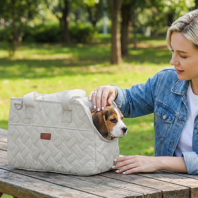 Sac de transport pour chien ComfortSafety gris brun chien