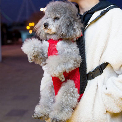 Sac de transport pour chien DogCar gris rouge chien