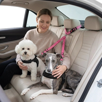 Sécurité chien ExcellentComfort rose femme, retenir chien