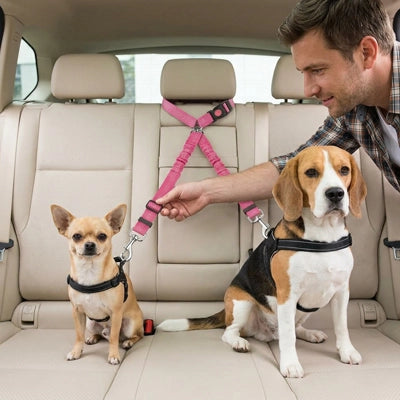 Sécurité chien ExcellentComfort rose homme regarde chien