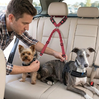 Sécurité chien OptimalComfort rouge homme attache chien