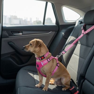 Sécurité chien ProtectionComfort rose assis chien