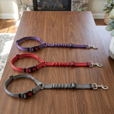 Sécurité chien SafetyComfort violet rouge gris chien