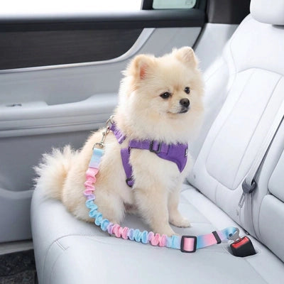 Sécurité chien UltimateComfort bleu rose attache chien