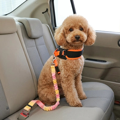 Sécurité chien UltimateComfort jaune rose attache assis brun chien