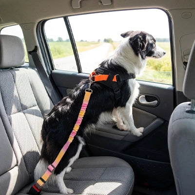 Sécurité chien UltimateComfort jaune rose attache debout chien