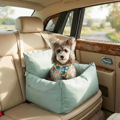 Siège auto chien DogSeat vert clair brun chien