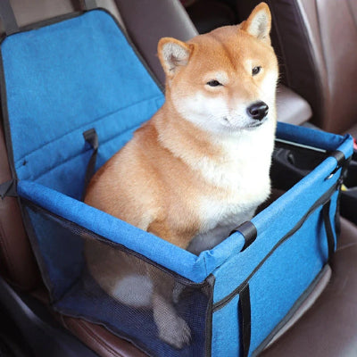 Siège auto chien ProtectionComfort bleu assis brun chien