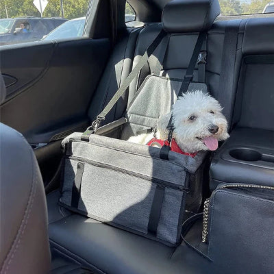 Siège auto chien ProtectionComfort gris assis regarde chien