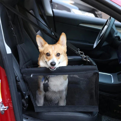 Siège auto chien ProtectionComfort noir assis brun regarde chien