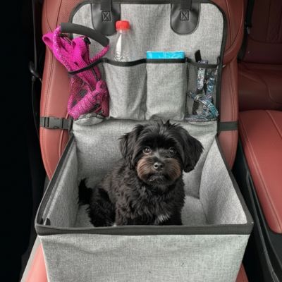 Siège auto pour chien AntiSlip gris noir chien