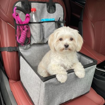 Siège auto pour chien AntiSlip gris voiture blanc chien