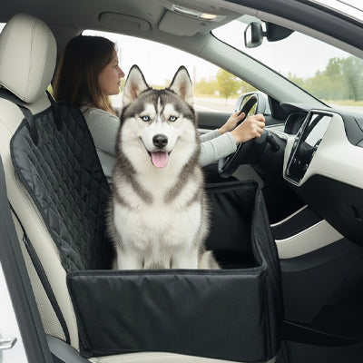 Siège auto pour chien Comforts noir assis blanc noir chien