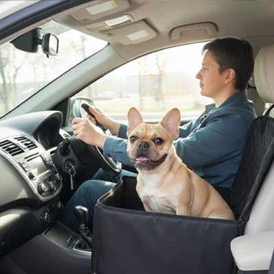 Siège auto pour chien Comforts noir brun assis chien