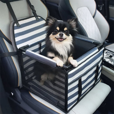 Siège auto pour chien Secure blanc bleu noir blanc chien