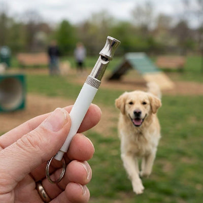 Sifflet ultrason pour chien TheEffective blanc marche chien