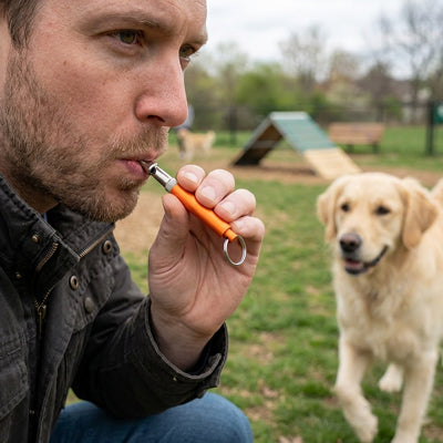 Sifflet ultrason pour chien TheEffective orange marche chien