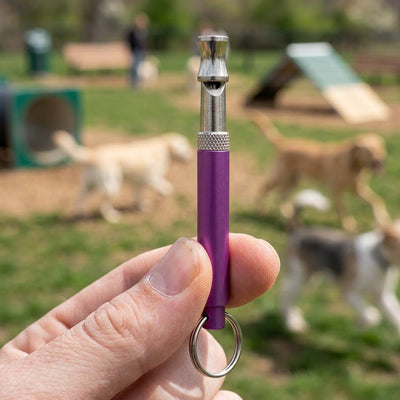 Sifflet ultrason pour chien TheEffective violet saute chien