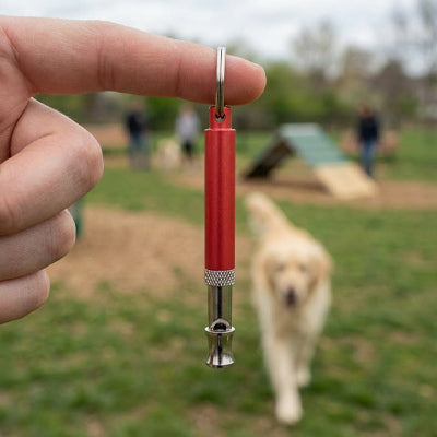 Sifflet pour chien TheRespectful rouge marche chien
