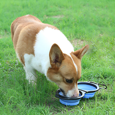 Support gamelle chien BowlHolder boire eau chien