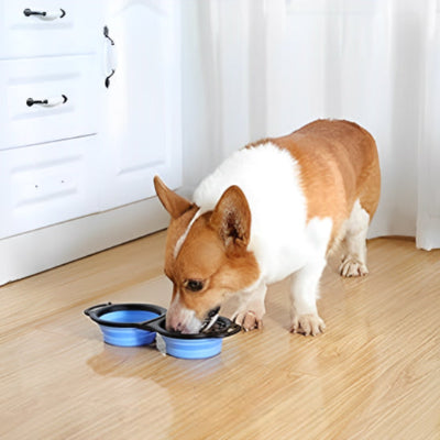 Support gamelle chien BowlHolder mange chien