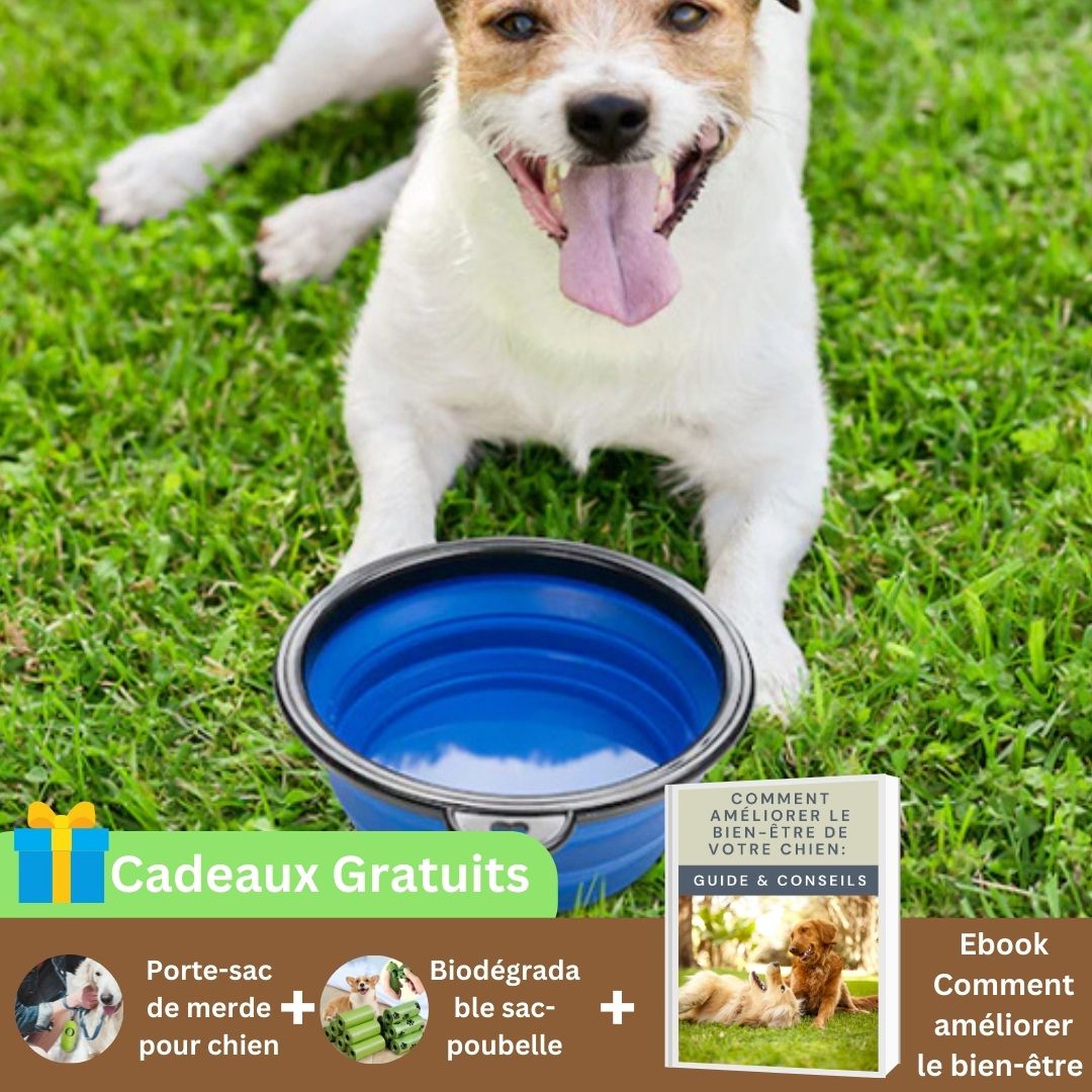 Support-gamelle-chien-DogBow-bleu