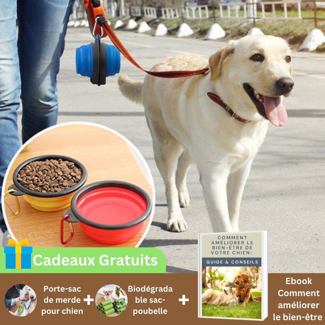 Support-gamelle-chien-DogBow-rouge