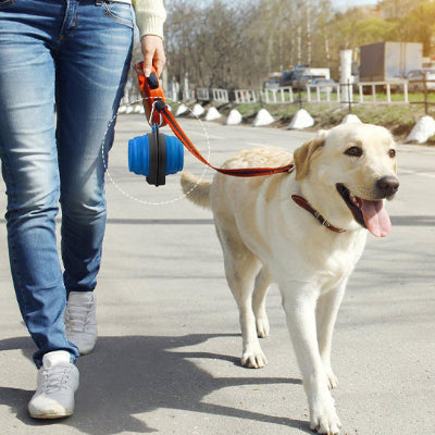 Support gamelle chien DogBowl blue crème chien