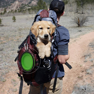 Support gamelle chien DogBowl vert sac à dos chien