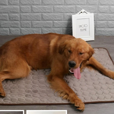 Tapis XXL pour chien DogCarpe rafraichissant chien dormir brun chien